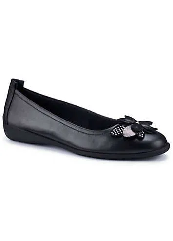 Black Paradise Women’s Shoes by Hotter | Look Again