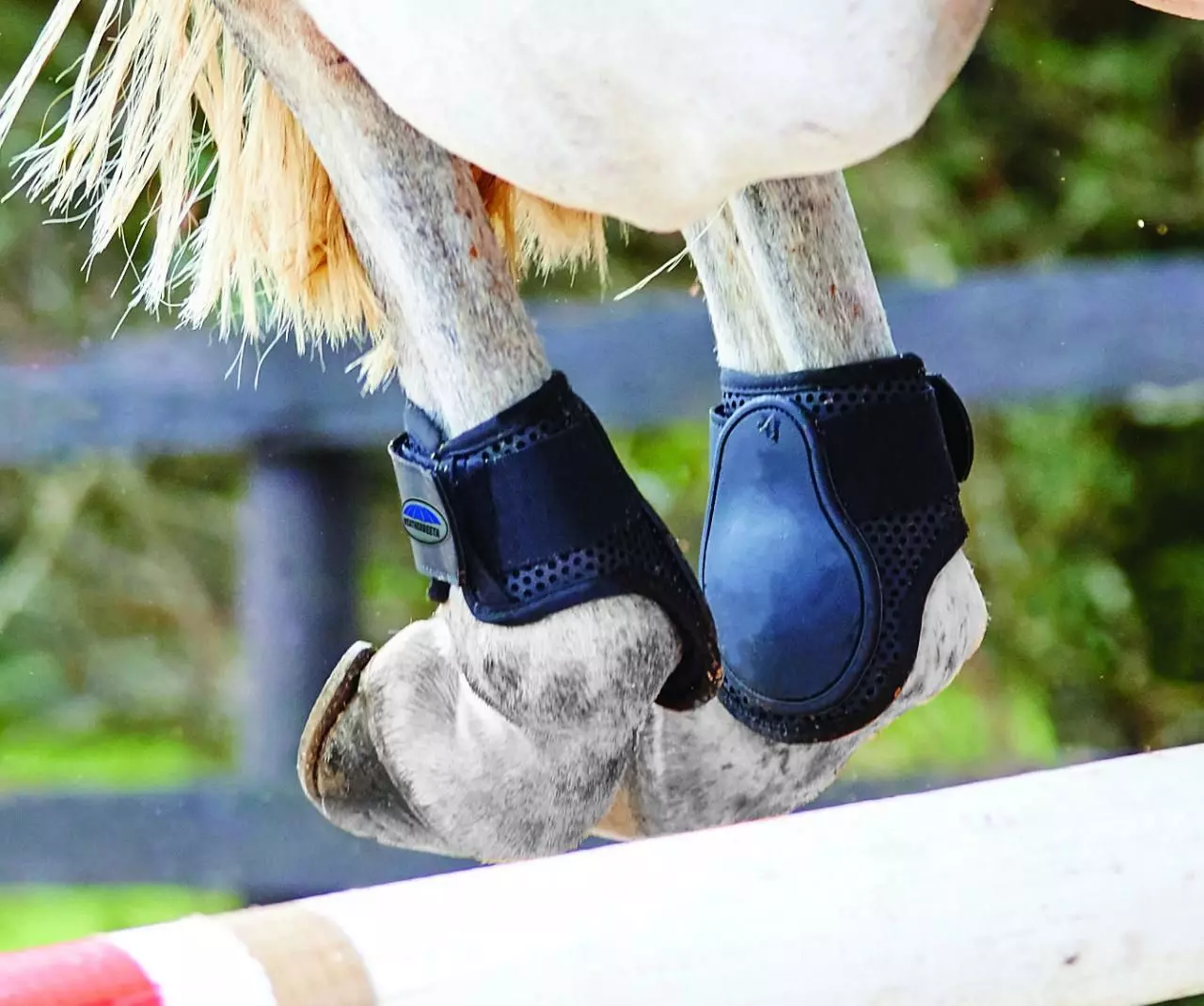 Weatherbeeta Lite Fetlock Boots 